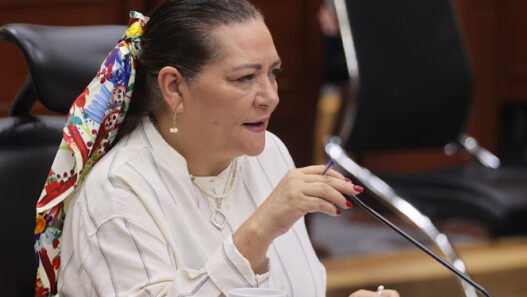 INE sólo supervisará histórica elección de jueces federales