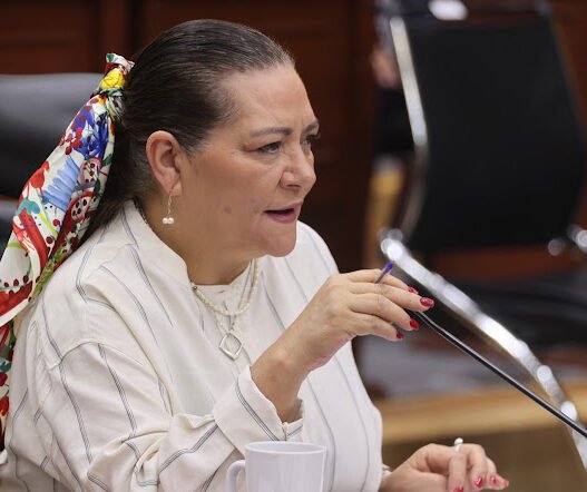 INE sólo supervisará histórica elección de jueces federales