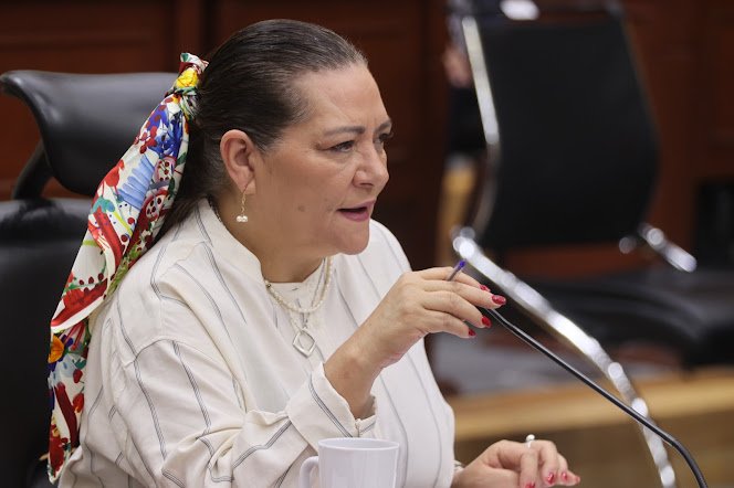 INE sólo supervisará histórica elección de jueces federales